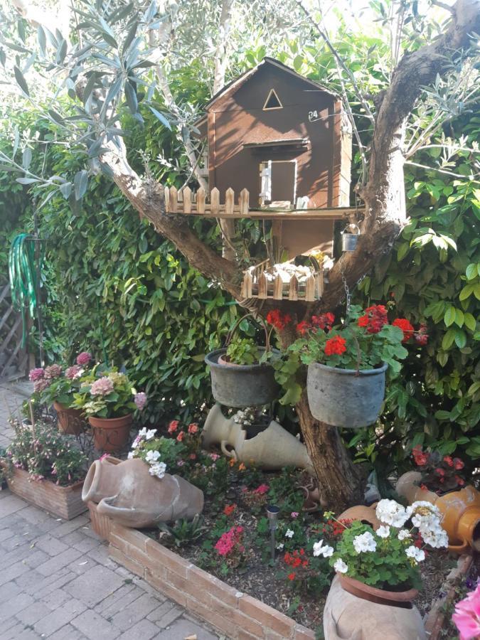 B&B Il Rifugio Bastia Umbra Exterior foto
